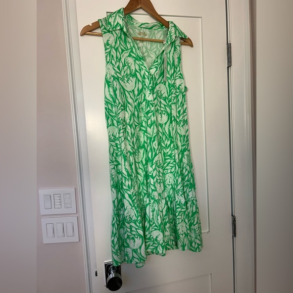 Lilly Pulitzer Riegan Dress in Fauna Green Tulip to Tango. Size S. NWT - Picture 1 of 11